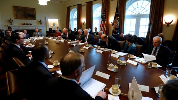 US President Donald Trump (5th R) holds a meeting with his cabinet at the White House in Washington, U.S. March 13, 2017 - Sputnik International