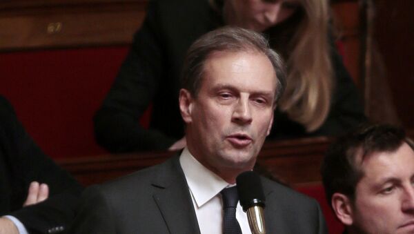 UMP right-ring party's member of Parliament Jacques Lamblin speaks during a session of questions to the government on February 4, 2014 at the National Assembly in Paris - Sputnik International