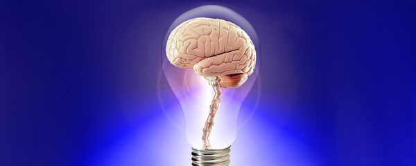 Memory Memory - Sputnik International