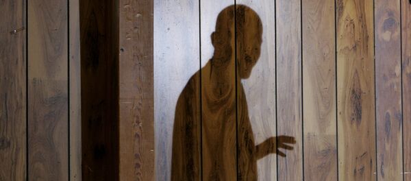 Barack Obama shadow (File) Barack Obama shadow (File) - Sputnik International