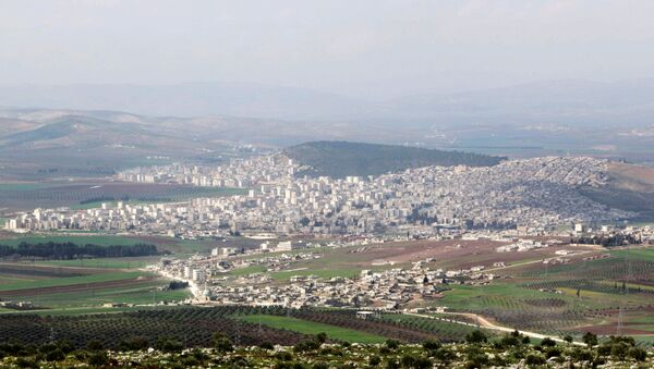 A general view shows the Kurdish-controlled city of Afrin, northern Syria. (File) - Sputnik International