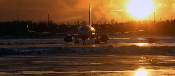 Plane at the airport. (File) Plane at the airport. (File) - Sputnik International