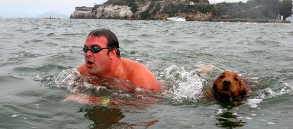Jake, a 4-year-old golden retriever, swims from Alcatraz towards San Francisco with Jeff Pokonosky, of San Diego, during the 10th Annual South End Rowing Club Alcatraz Invitational. (File) Jake, a 4-year-old golden retriever, swims from Alcatraz towards San Francisco with Jeff Pokonosky, of San Diego, during the 10th Annual South End Rowing Club Alcatraz Invitational. (File) - Sputnik International