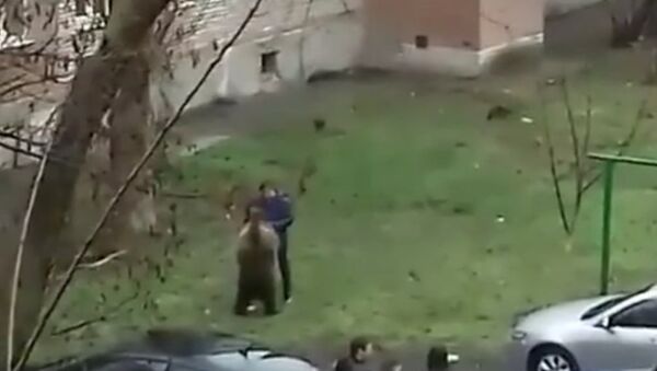 Only in russia: a man takes a bear for a walk - Sputnik International