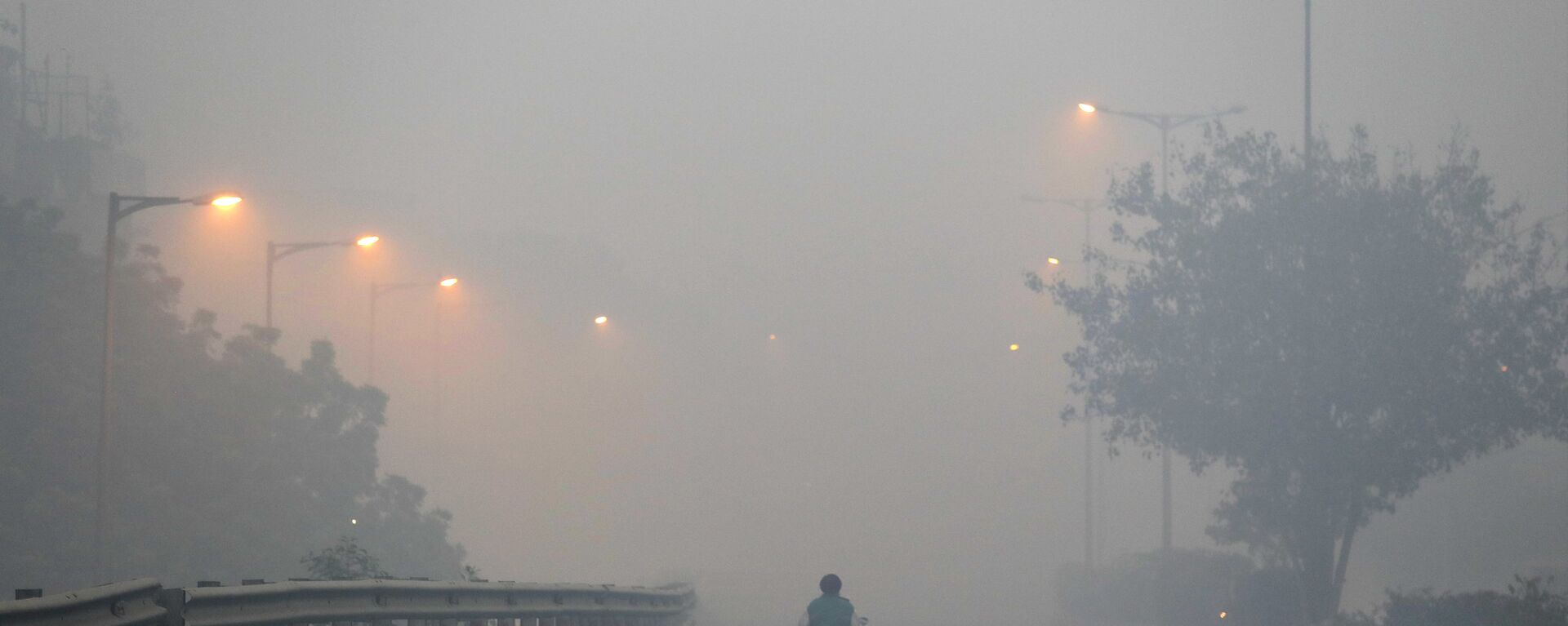 A man rides a scooter on a road enveloped by smoke and smog, on the morning following Diwali festival in New Delhi, India, Monday, Oct. 31, 2016.  - Sputnik International, 1920, 14.06.2022