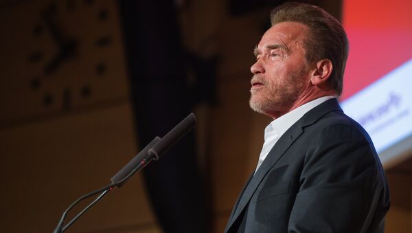 Former U.S. California Gov. Arnold Schwarzenegger delivers a speech at the Institute of Political Studies in Paris, France - Sputnik International