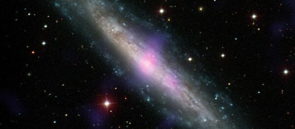 NGC 1448, a galaxy with an active galactic nucleus, is seen in this image combining data from the Carnegie-Irvine Galaxy Survey in the optical range and NuSTAR in the X-ray range. NGC 1448, a galaxy with an active galactic nucleus, is seen in this image combining data from the Carnegie-Irvine Galaxy Survey in the optical range and NuSTAR in the X-ray range. - Sputnik International