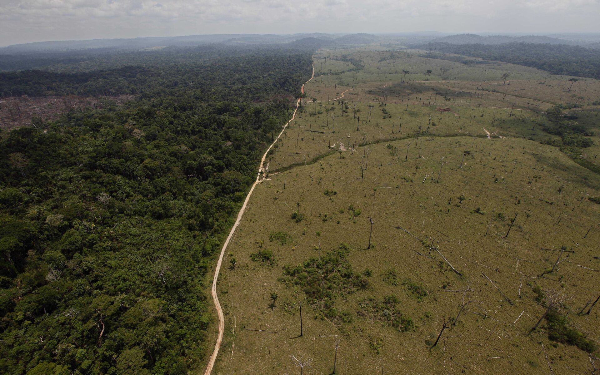 Deforested area is seen near Novo Progresso in Brazil's northern state of Para - Sputnik International, 1920, 08.03.2022