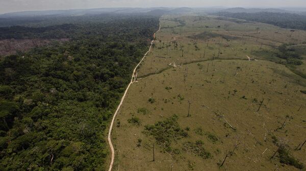 Deforested area is seen near Novo Progresso in Brazil's northern state of Para - Sputnik International