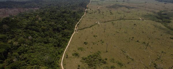 Deforested area is seen near Novo Progresso in Brazil's northern state of Para - Sputnik International
