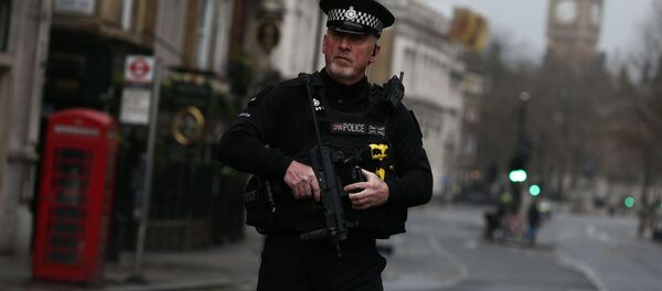An armed police officer stands on Whitehall the morning after an attack by a man driving a car and weilding a knife left five people dead and dozens injured, in London, Britain, March 23, 2017. - Sputnik International