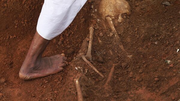 In this Jan 2, 2013 photo, a hospital worker walks by a partially excavated skeleton, at a mass grave found inside the premises of a government hospital in Matale, about 140 kilometers (about 88 miles) north east of Colombo, Sri Lanka. - Sputnik International