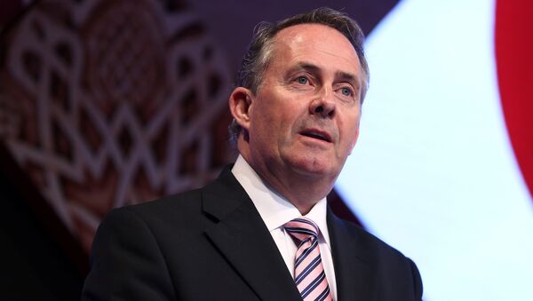 Britain's Secretary of State for International Trade Liam Fox speaks at the Qatar UK Business and Investment Forum in London, Britain March 27, 2017 - Sputnik International
