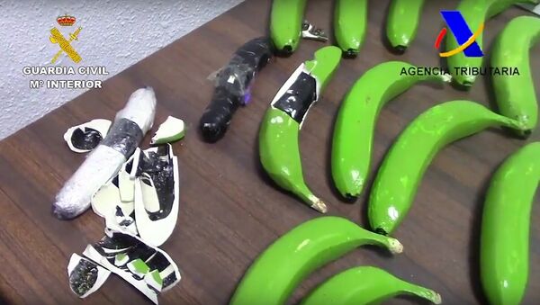 Drugs Found In Fake Bananas - Sputnik International