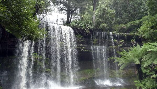 March 24, 2011 photo, Russell Falls in Mount Field National Park in Tasmania, Australia - Sputnik International