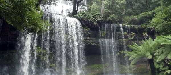 March 24, 2011 photo, Russell Falls in Mount Field National Park in Tasmania, Australia March 24, 2011 photo, Russell Falls in Mount Field National Park in Tasmania, Australia - Sputnik International