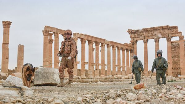 Engineers at the International Main Action Center of the Russian Armed Forces clear the historical part of ancient Palmyra of mines. - Sputnik International