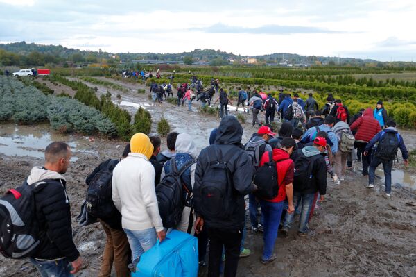 Migrants make their way after crossing the border at Zakany, Hungary October 16, 2015. - Sputnik International