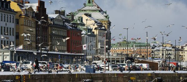 Seagulls fly over the snow-covered Gamla Stan dock in Stockholm Seagulls fly over the snow-covered Gamla Stan dock in Stockholm - Sputnik International