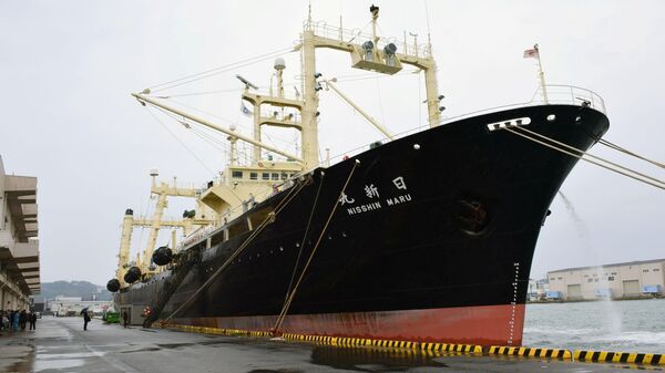 Japanese whaling vessel the Nisshin Maru returns to the Shimonoseki port in southwestern Japan after it and two other vessels hunted 333 minke whales in the Antarctic Ocean - Sputnik International