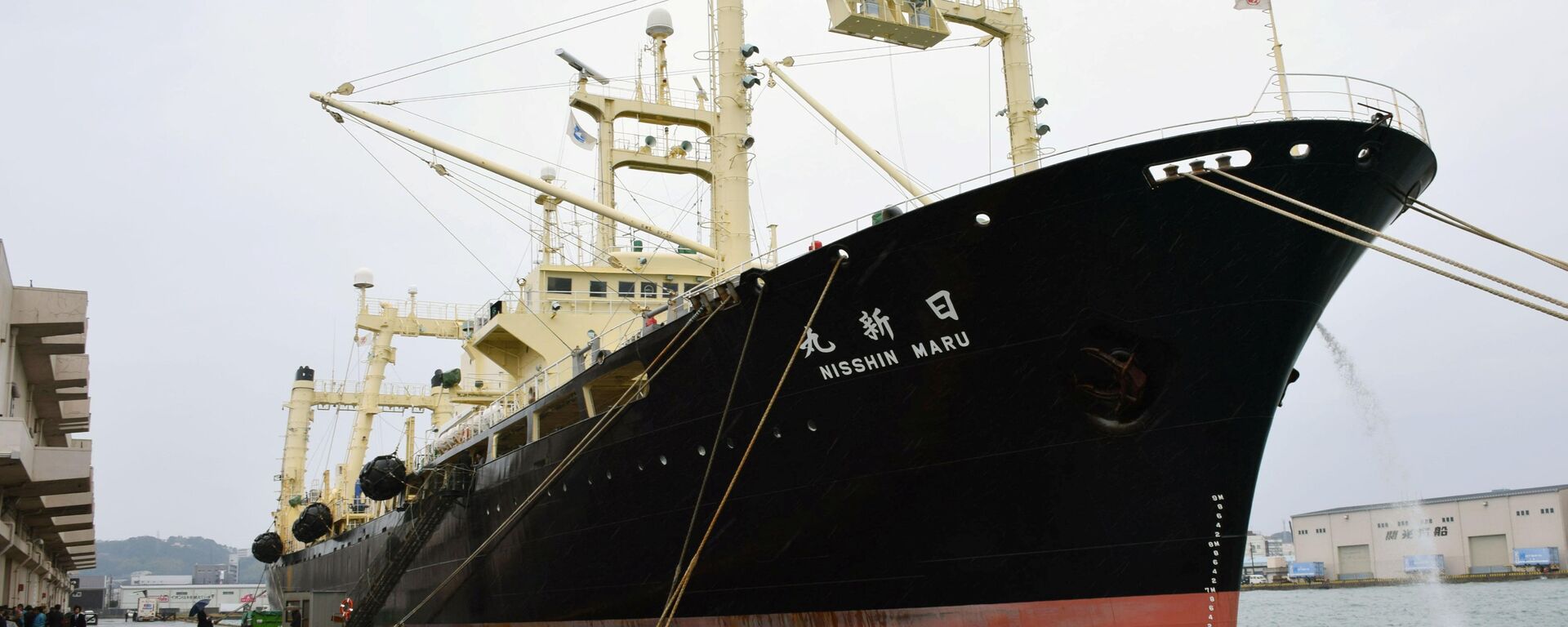 Japanese whaling vessel the Nisshin Maru returns to the Shimonoseki port in southwestern Japan after it and two other vessels hunted 333 minke whales in the Antarctic Ocean - Sputnik International, 1920, 01.07.2019