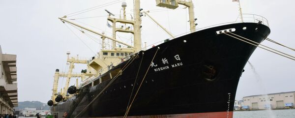 Japanese whaling vessel the Nisshin Maru returns to the Shimonoseki port in southwestern Japan after it and two other vessels hunted 333 minke whales in the Antarctic Ocean - Sputnik International