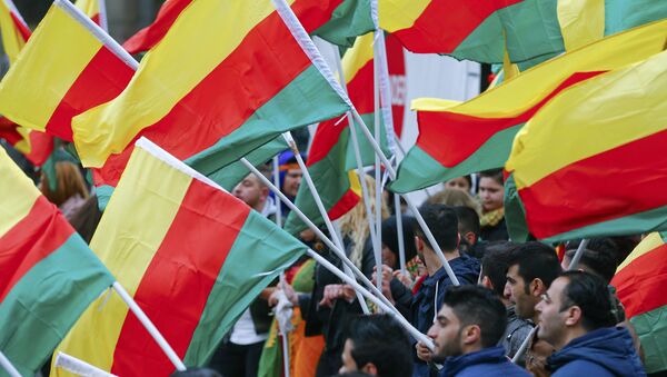 People carry flags during a demonstration organised by Kurds, in Frankfurt, Germany, March 18, 2017 - Sputnik International