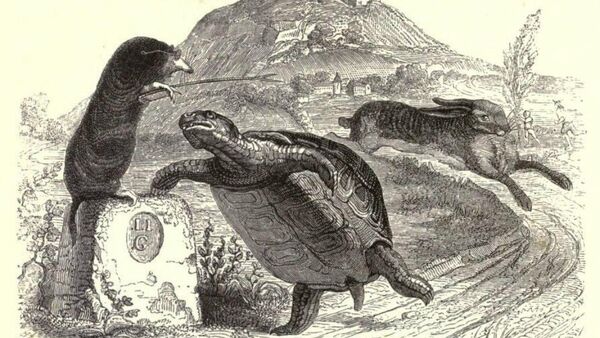 The tortoise and the hare - Sputnik International