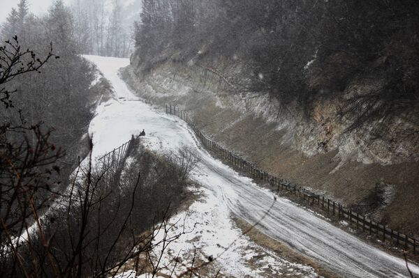A road in the village of Kachemak, Alaska - Sputnik International