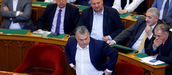 Hungarian Prime Minister Viktor Orban arrives to a vote on a bill tightening regulations on foreign universities operating in Hungary. Hungarian Prime Minister Viktor Orban arrives to a vote on a bill tightening regulations on foreign universities operating in Hungary. - Sputnik International