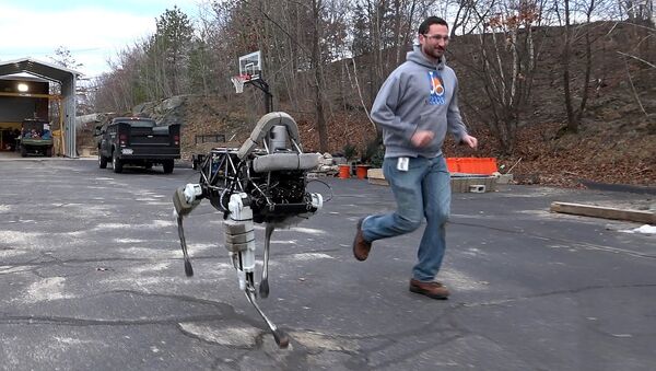 Boston Dynamics' quadruped robot, Spot. - Sputnik International