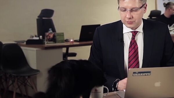 Cat helps to answer questions - Sputnik International