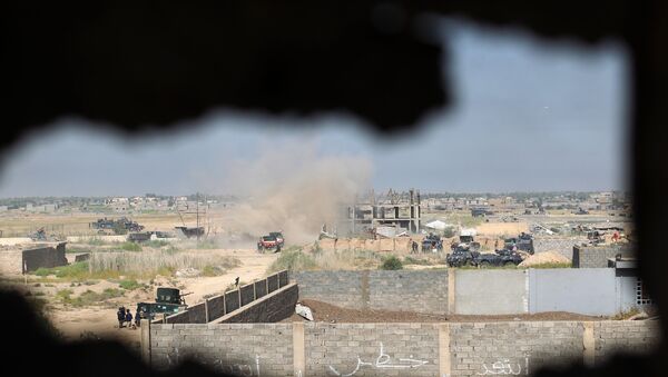 A picture taken through a hole in a wall shows Iraqi government forces holding a position next to a mined zone protected by a wall during an operation, backed by air support from the US-led coalition, in Fallujah's southern Shuhada neighbourhood to retake the area from the Islamic State (IS) group. (File) - Sputnik International