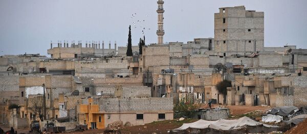 Buildings in Hama, Syria - Sputnik International