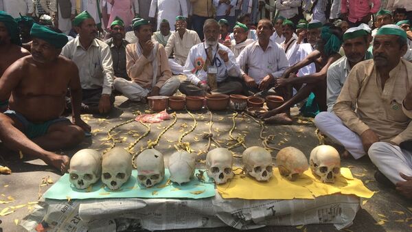 Drought-stricken farmers from India's southern state of Tamil Nadu display the skulls of farmers who have committed suicide due to rising debts at a protest in New Delhi on March 27, 2017 - Sputnik International