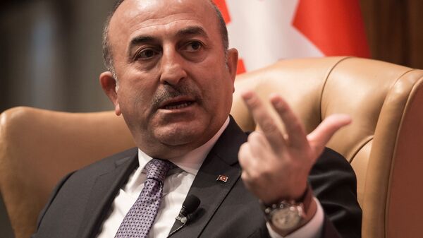 Turkish Foreign Minister Mevlut Cavusoglu speaks during a discussion on Turkey-US Strategic Partnership: Looking to the Future at the National Press Club in Washington, DC, on March 21, 2017 - Sputnik International