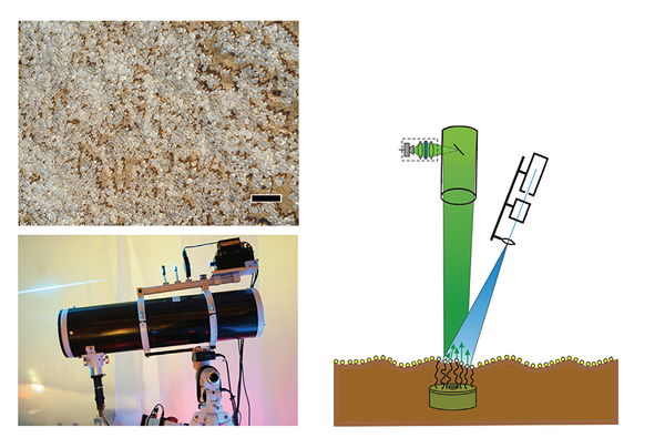 The biosensor beads scattered over a minefield and the optical scanning system - Sputnik International