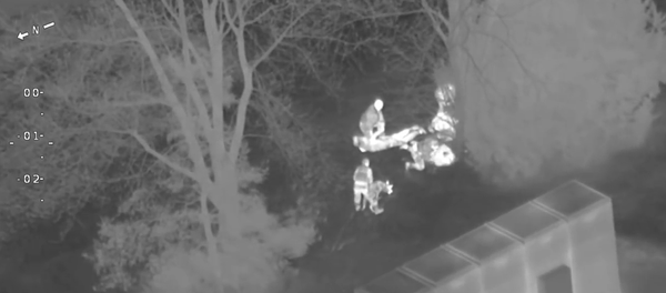 THREE YOUTHS ARRESTED AFTER STEALING CANDY FROM CANADA'S WONDERLAND THREE YOUTHS ARRESTED AFTER STEALING CANDY FROM CANADA'S WONDERLAND - Sputnik International