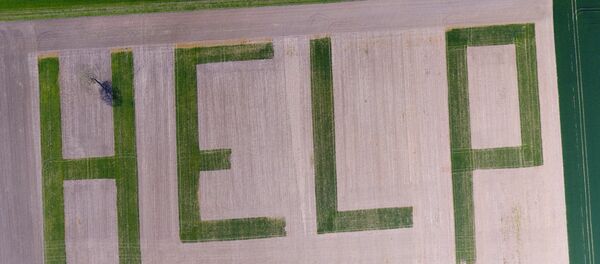 This aerial picture shows the word HELP formed by a farmer in his wheat field in Athee-sur-Cher near Tours, central France, to denounce the crisis in France's agricultural sector This aerial picture shows the word HELP formed by a farmer in his wheat field in Athee-sur-Cher near Tours, central France, to denounce the crisis in France's agricultural sector - Sputnik International
