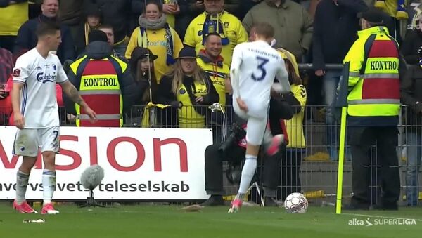 Brøndby fans kaster rotter efter FCK spillere - Sputnik International