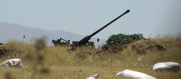 Syrian anti-aircraft gun (file) - Sputnik International