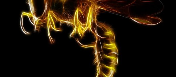 Wasp - Sputnik International