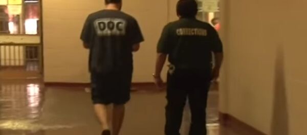 Accused Russian Computer Hacker Roman Seleznev - Sputnik International