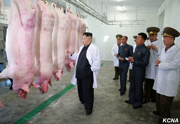 North Korean Leader Kim Jong Un at the Thaechon Pig Farm of the Air and Anti-Air Force of the Korean People's Army North Korean Leader Kim Jong Un at the Thaechon Pig Farm of the Air and Anti-Air Force of the Korean People's Army - Sputnik International