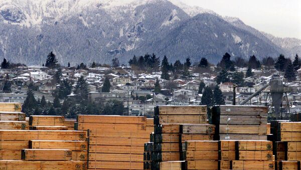 Piles of softwood lumber destined for export, are stacked at a Richmond, B.C., Canada lumberyard (File) - Sputnik International
