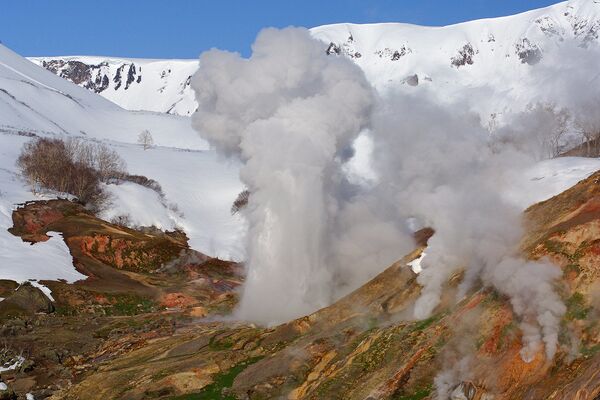 Living on the Volcano: Miraculous Kamchatka Nature Reserve - Sputnik International