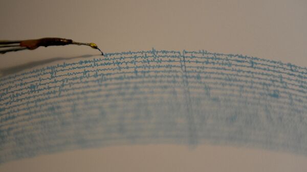 View of a seismograph. (File) - Sputnik International