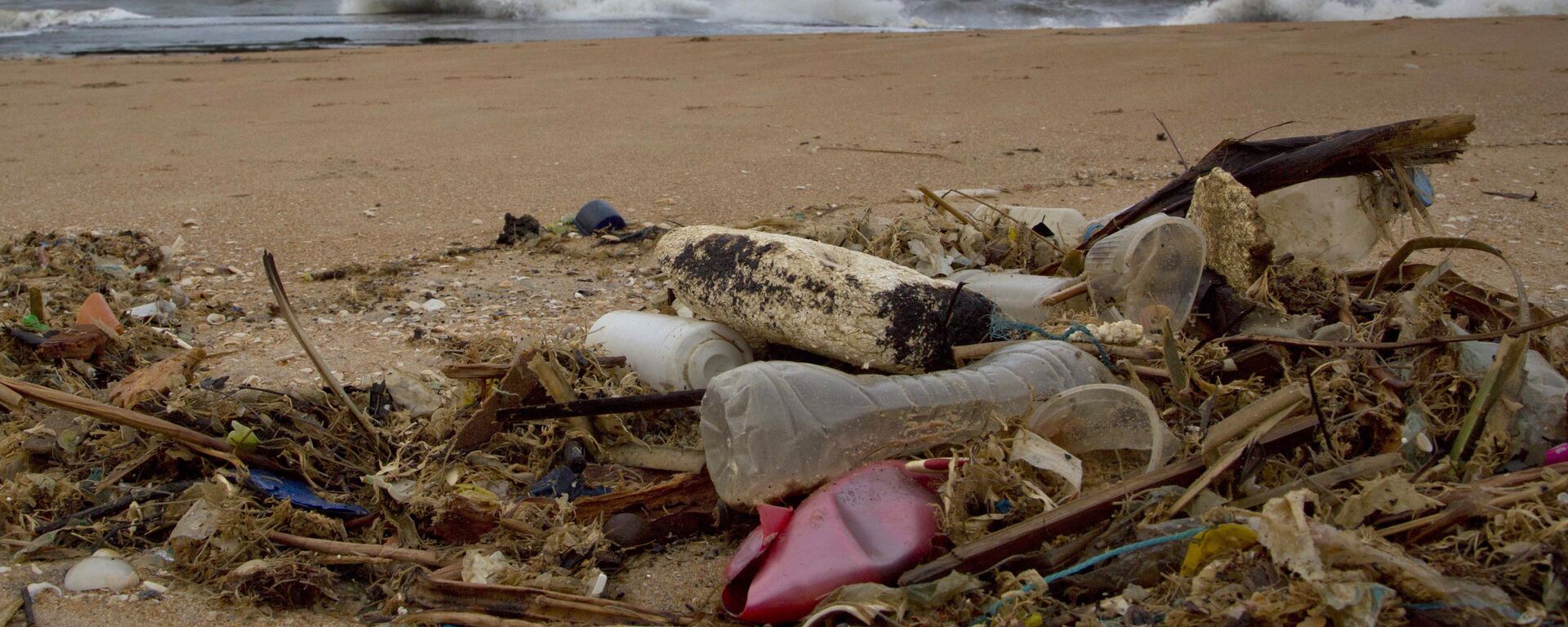 In this Aug. 13, In this 13 August 2015 photo, a plastic bottle lies among other debris washed ashore on the Indian Ocean beach in Uswetakeiyawa, north of Colombo, Sri Lanka.  - Sputnik International, 1920, 31.08.2020