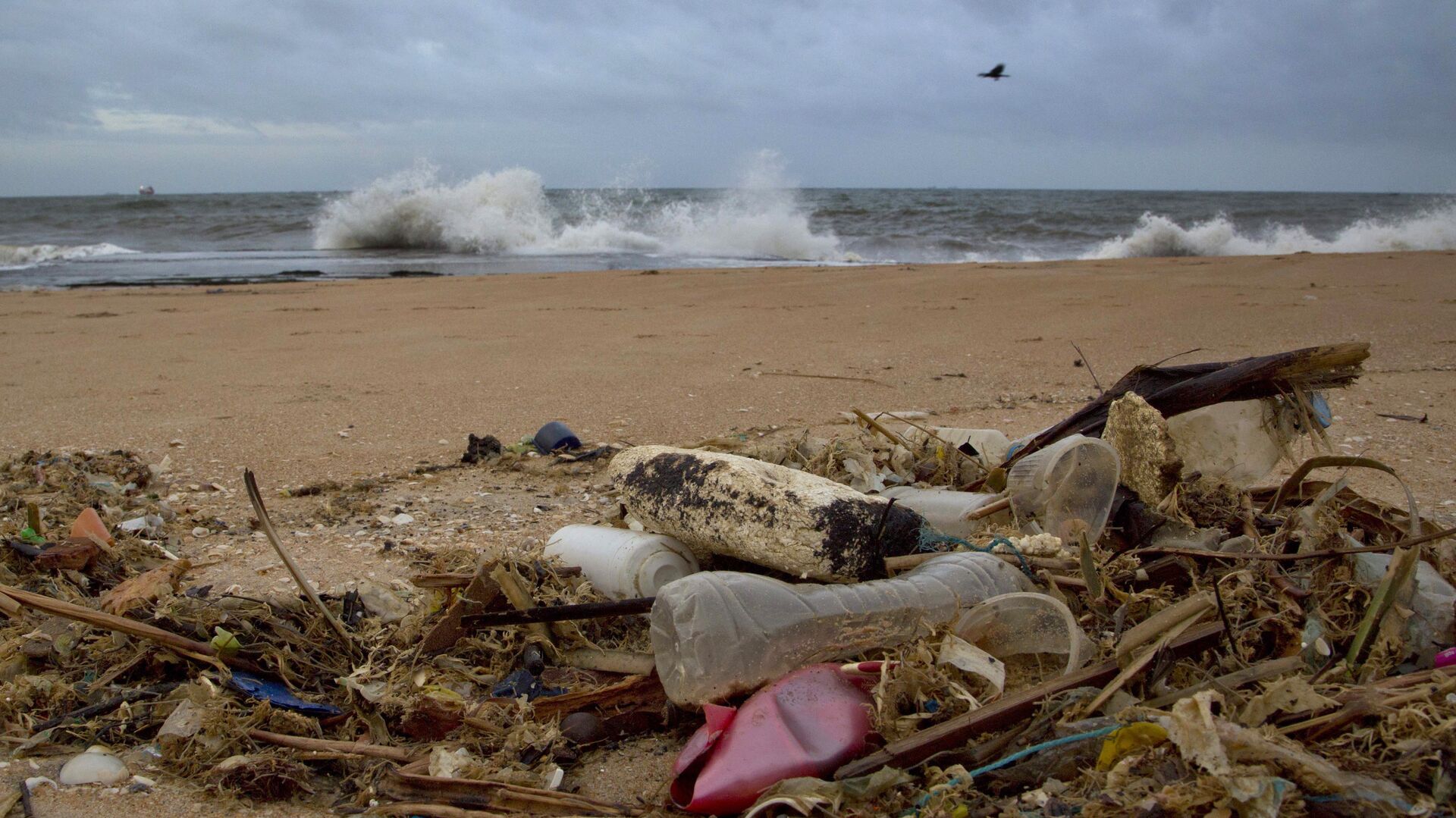 In this Aug. 13, 2015 photo, a plastic bottle lies among other debris washed ashore on the Indian Ocean beach in Uswetakeiyawa, north of Colombo, Sri Lanka. For years along the Cornish coast of Britain, Atlantic Ocean currents have carried thousands of Lego pieces onto the beaches. In Kenya, cheap flip-flop sandals are churned relentlessly in the Indian Ocean surf, until finally being spit out onto the sand. In Bangladesh, fishermen are haunted by floating corpses that the Bay of Bengal sometimes puts in their path. And now, perhaps, the oceans have revealed something else: parts of Malaysian Airlines Flight 370, the jetliner that vanished 17 months ago with 239 people on board.  - Sputnik International, 1920, 29.04.2022