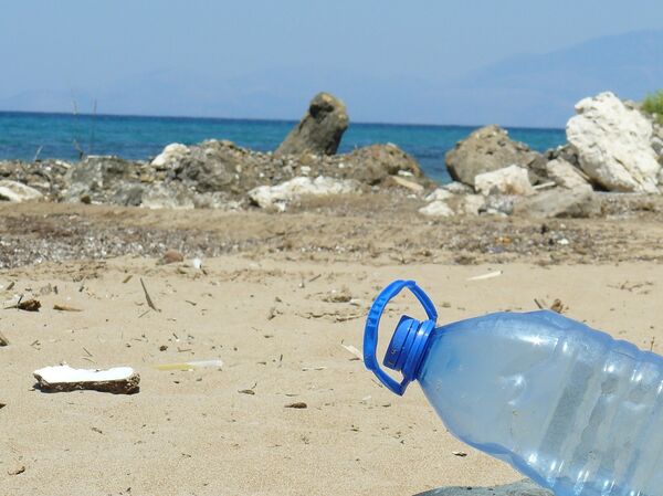 Remarkable Plastic-Bundling Feats of Seagrass 'Neptune Balls’ Touted in New Study - Sputnik International